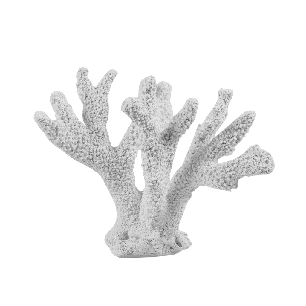 Escultura Coral 