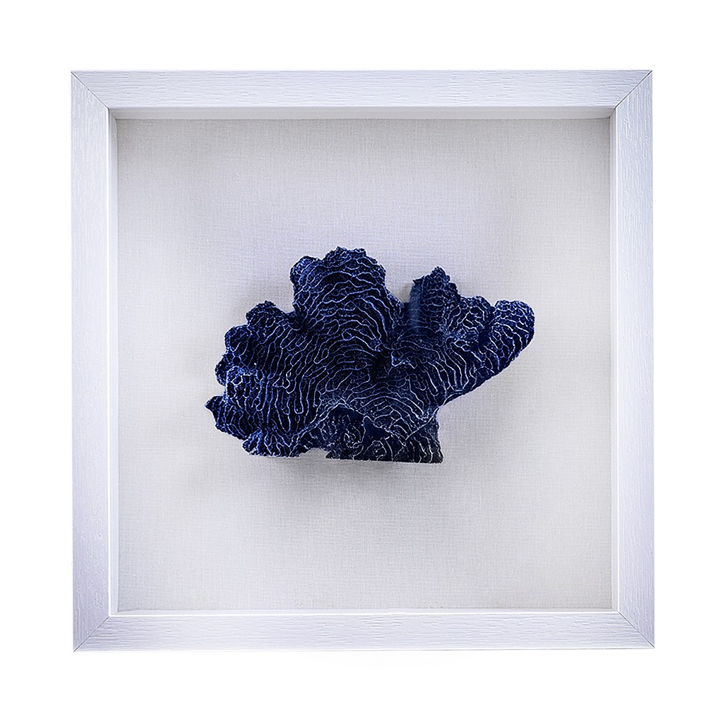 Quadro com coral em resina azul P